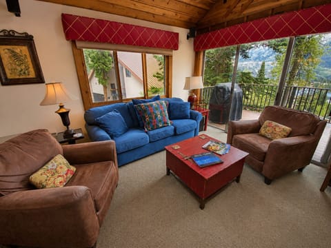 Living Room with Sofa Sleeper