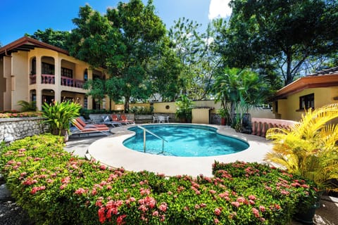 Beachfront pool at Villas Langosta in Playa Langosta, Tamarindo Costa Rica. Surrounded by tropical gardens with direct beach access, this vacation rental offers ocean views, sunset terrace, and secure community living near Tamarindo.