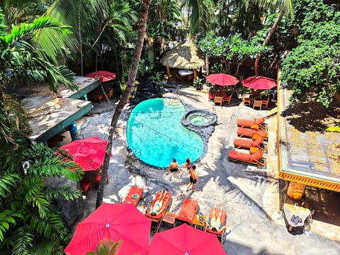 The Bamboo is a charming, boutique resort with lots of amenities including a Heated pool, Jacuzzi, Waterfalls, Tiki hut, a Beautiful lobby, Wireless internet and very friendly staff.