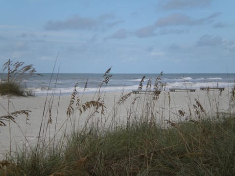 On the Beach