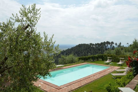 Garden, Pool, Scenic View
