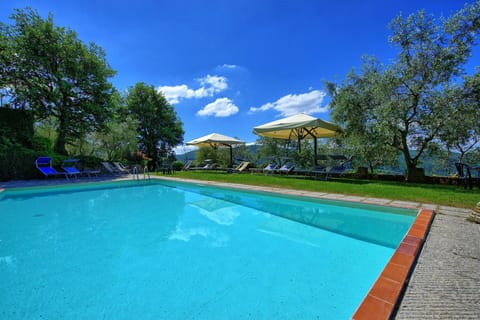 Garden, Pool