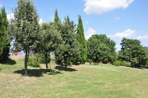 Building Exterior, Garden