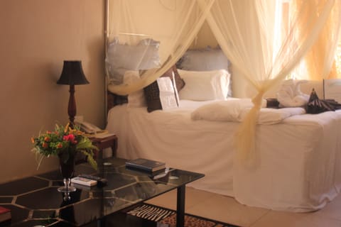 Executive Room | View from room