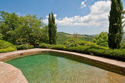 Shrub, Garden, Landscape, Landscaping, Estate, Botanical Garden, Park, Yard, Villa