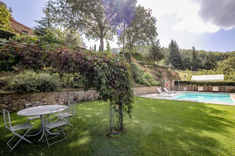 Garden and swimming pool