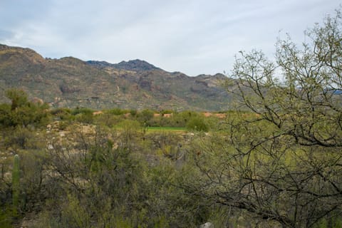 VIEW2