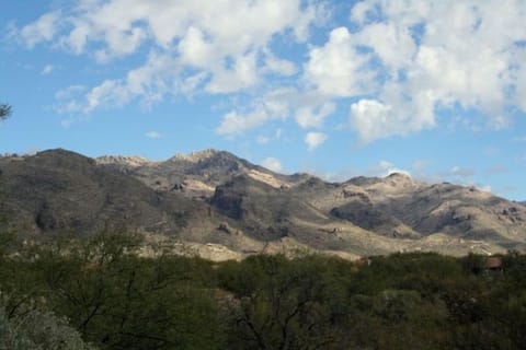 Patio View