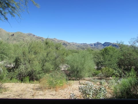 View from Patio of Catalina Mountains - Picture Description
