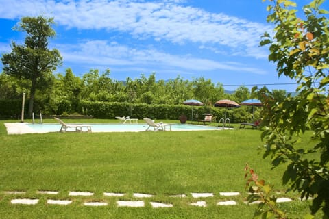 Land Lot, Lawn, Garden, Meadow, Swimming Pool, Shade, Outdoor Furniture, Park, Landscaping, Yard