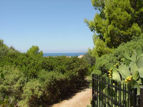 Leaf, Green, Vegetation, Shrub, Plant Community, Sea, Ocean, Garden, Shrubland, Evergreen