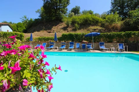 Water, Plant, Sky, Flower, Swimming Pool, Tree, Azure, Building, Chair, Outdoor Furniture