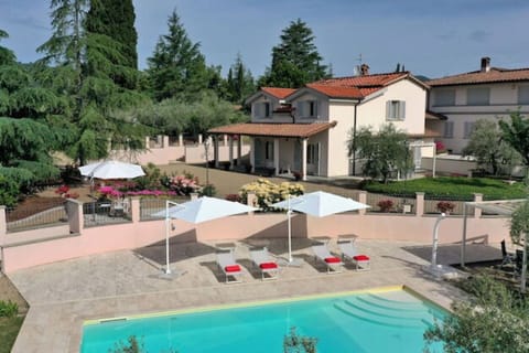 Garden, Outdoor, Pool