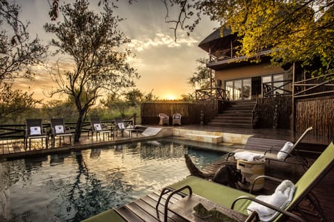 Outdoor pool, sun loungers