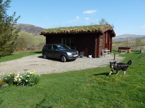 Benearb Welcomes Dogs