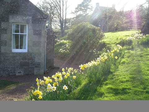 west twin at the back behind Butlers