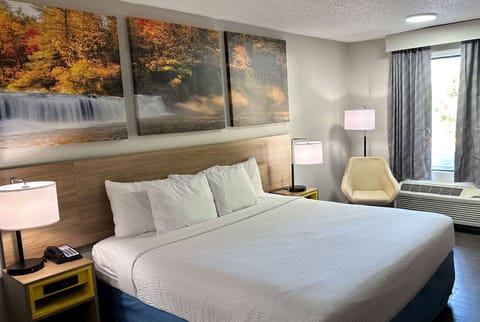 Room, 1 King Bed, Accessible | In-room safe, iron/ironing board, free cribs/infant beds, rollaway beds