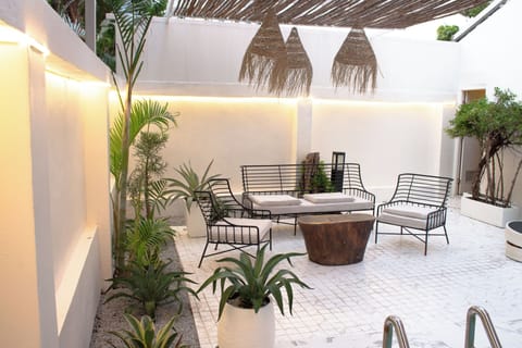 Outdoor pool, sun loungers