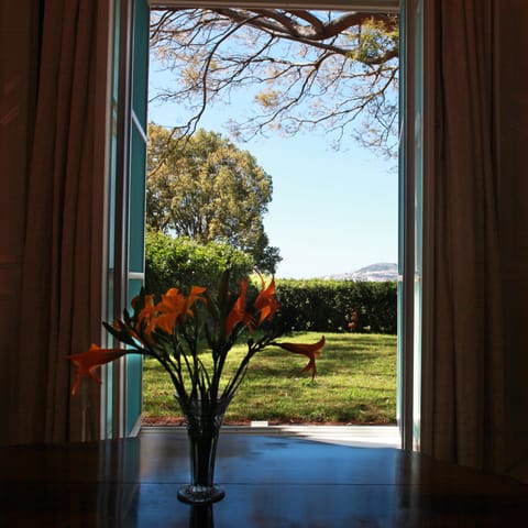 View from property