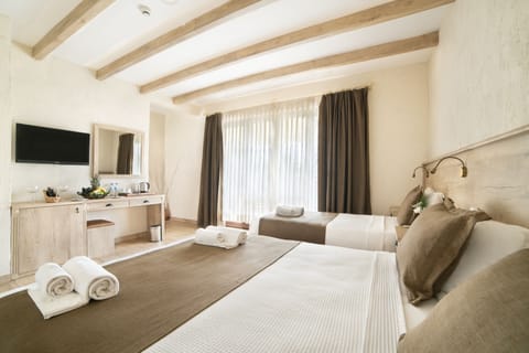 Minibar, in-room safe, WiFi (surcharge), bed sheets