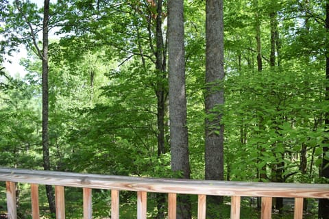 Mtn Shade View from upper deck