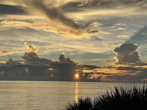 Nightly wonders from your private balcony