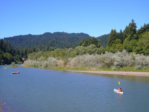 Summertime at the Russian River - from the backyard and down the season stairs.