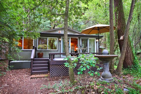 Welcome to Falling Leaf! A forested retreat on Guerneville.
