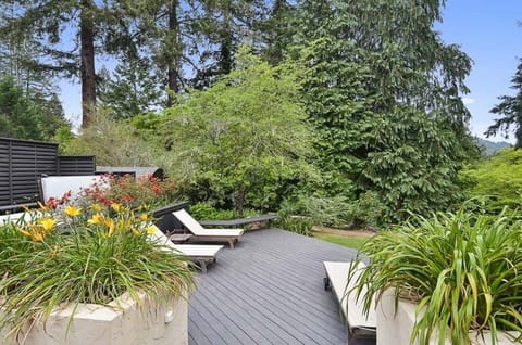 Lounge in style - garden and tree views with abundant sunlight.