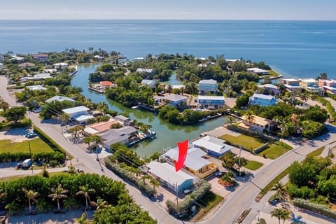 Aerial 3