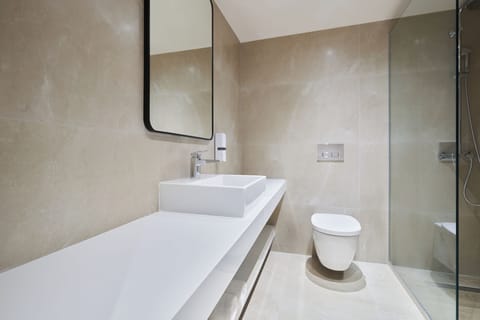 Shower, free toiletries, hair dryer, towels