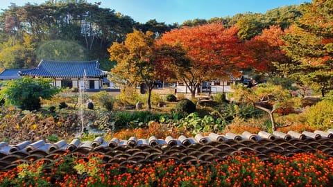 Traditional Room (Yonghojung) | Garden view