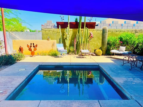 Tranquil desert oasis! 