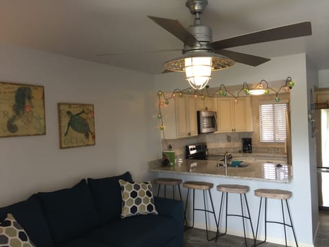 beautiful updated condo