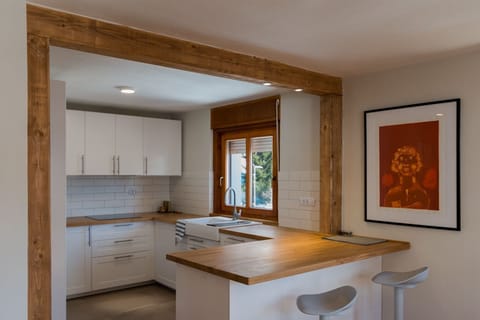 Mostnica Cottage - kitchen