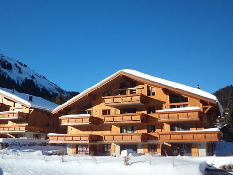Edelweiss B31, Morgins (217)