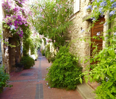 One of the prettiest streets in Antibes. pedestrians only so very peaceful.