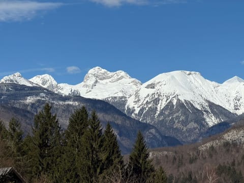 Villa Belica, Lake Bohinj Chalet in Friuli-Venezia Giulia