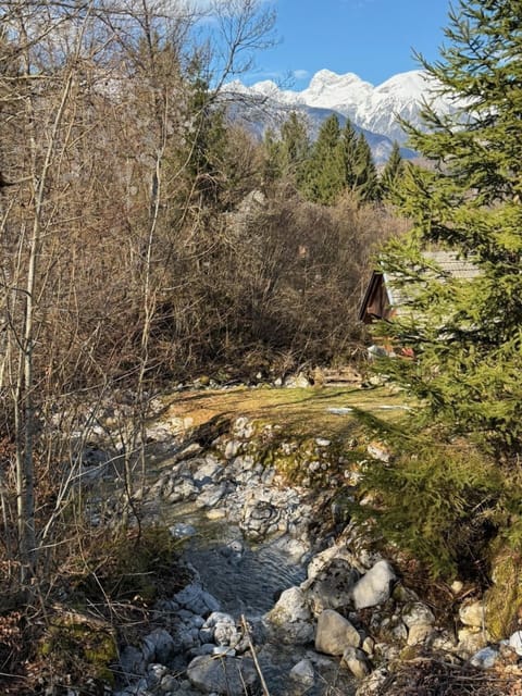 Villa Belica, Lake Bohinj Chalet in Friuli-Venezia Giulia