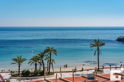View from the terrace over the surroundings