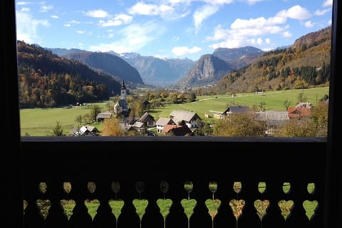 Villa Bohinca - view from the balcony