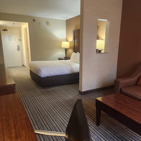 Standard Room, 1 Queen Bed, Non Smoking (with Sofabed) | In-room safe, iron/ironing board, free cribs/infant beds, free WiFi