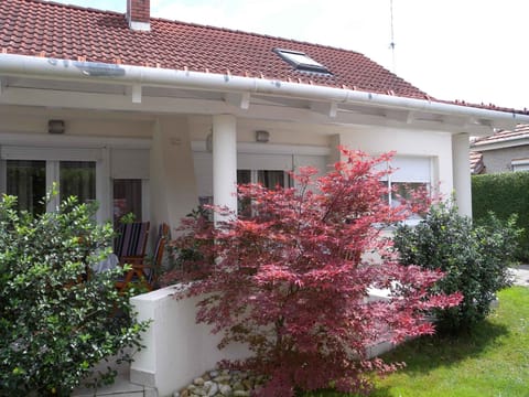 external view