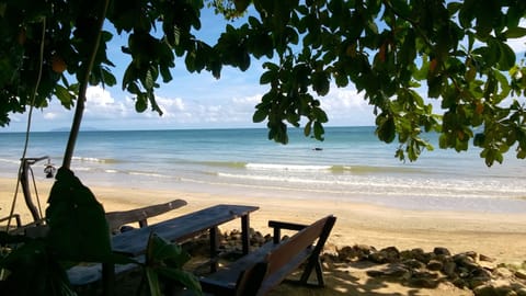 On the beach, sun loungers, snorkeling, beach bar
