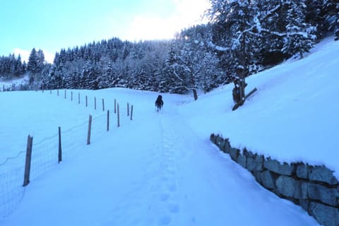 Sonnhütte - Sonnhütte 1 Cabin in Salzburgerland