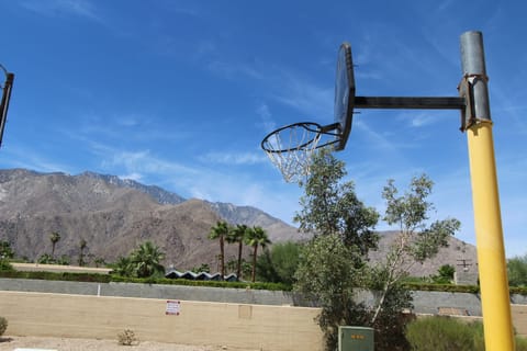 Basketball court