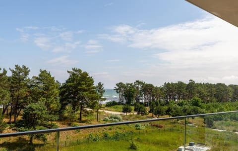 view-from-room