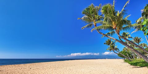 Tranquil beach vibes with golden sands and swaying palm trees just steps away from your Honua Kai Resort 