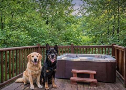 doggies