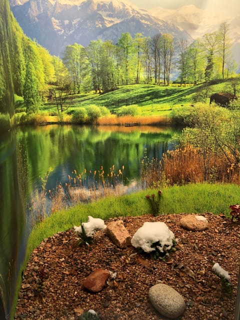 Window Well image in master bedroom